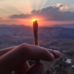 420weedmashine:  smoke a joint