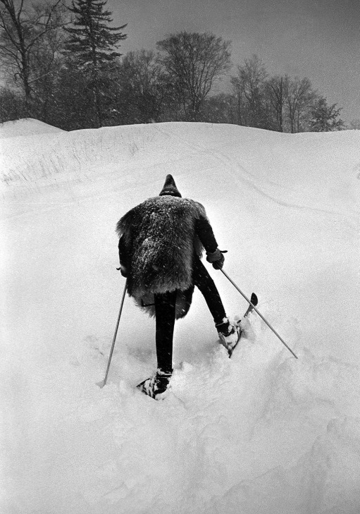 mpdrolet:  Snow gnome, 1967 Barton Silverman 