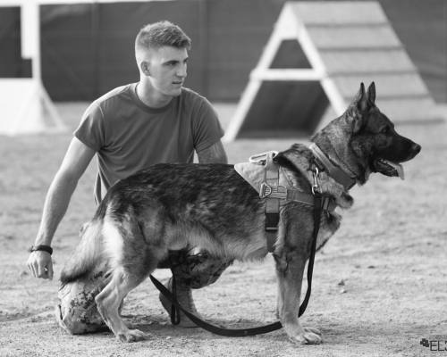 @cschonacher and big Barry #militaryworkingdog #germanshepherd #attackdog #protectiondog #k9 #schutz