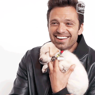 bucky-plums-barnes: Hey Buzzfeed, next time can you just let Seb play with puppies instead please?  