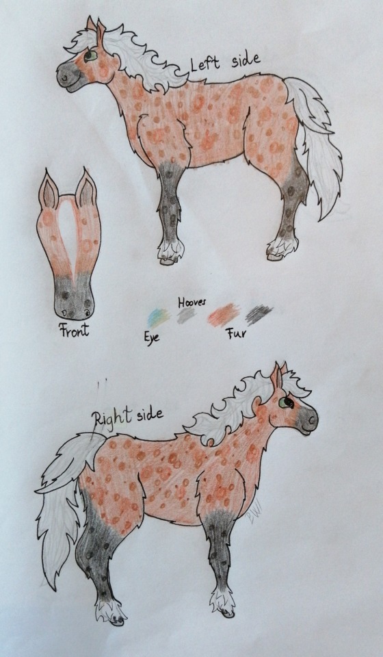 Time`s Epona