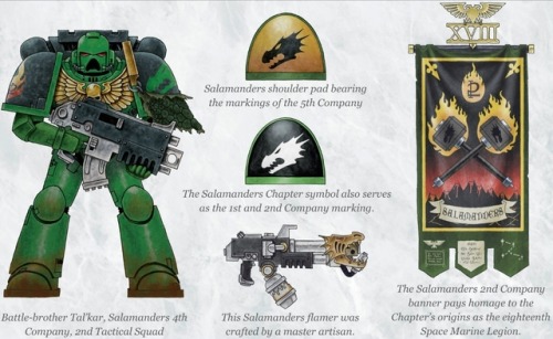 XXX Warhammer 40K Database photo