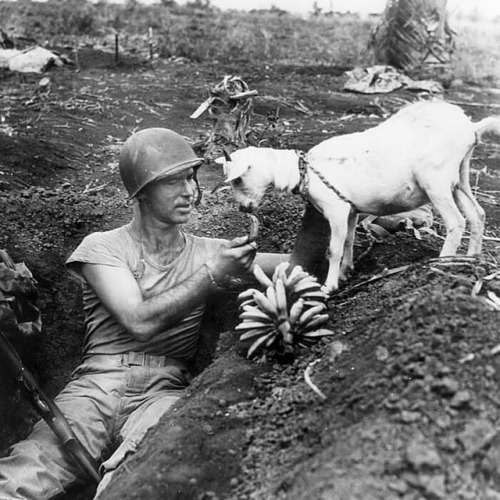 atraversso:  atraversso: A selection of the most heartwarming historic photos ever.    streetartglobe  on ig   Please don’t delete the link to the photographers/artists, thanks!   