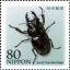 rawbugmeat
