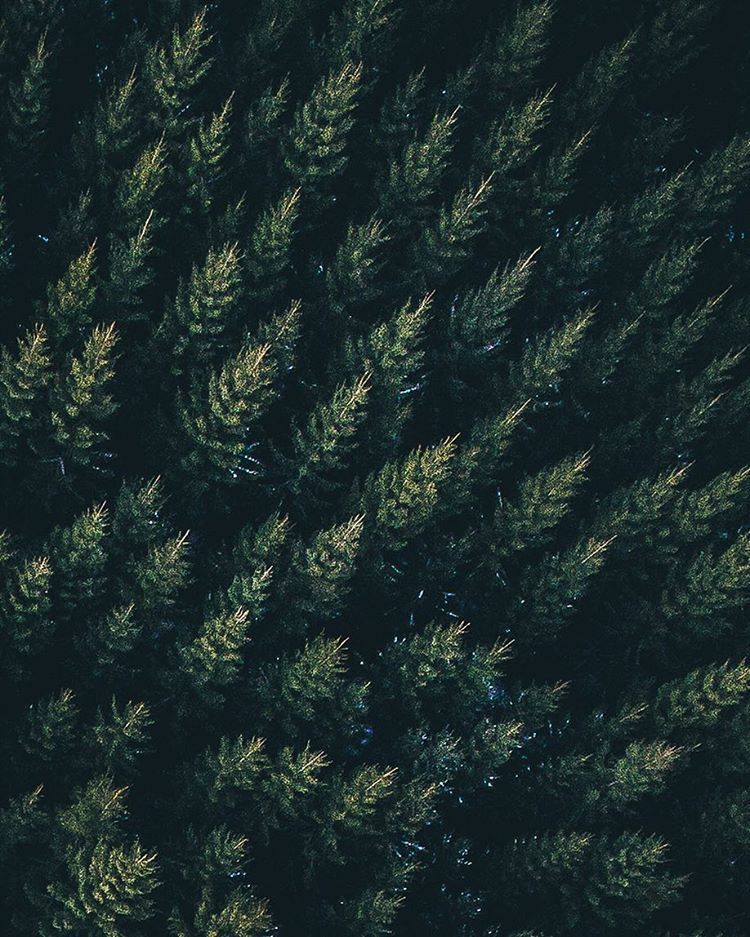 delta-breezes:Tobias | @airpixels