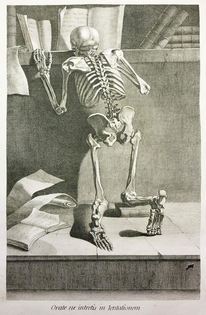 metalonmetalblog:   Jacques Gamelin‘s  Nouveau recueil d’osteologie et de myologie (“New
