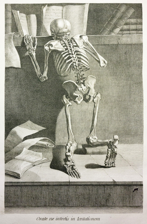metalonmetalblog:   Jacques Gamelin‘s  Nouveau recueil d’osteologie et de myologie (“New collection of osteology and mycology”) of 1779