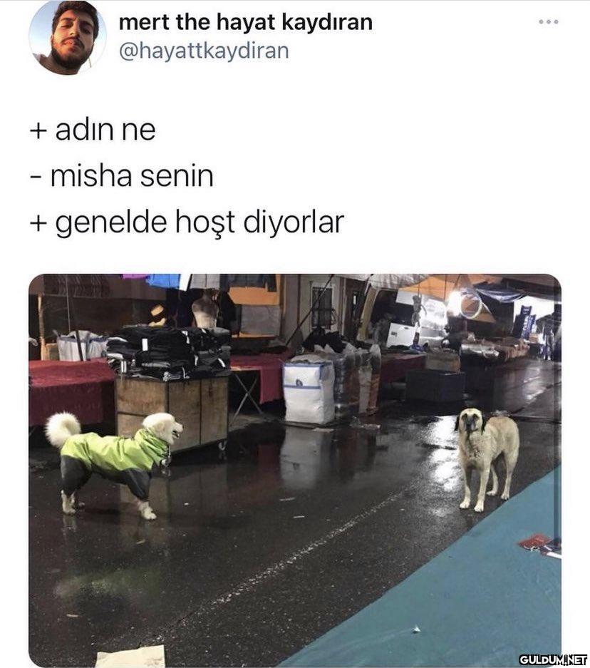 mert the hayat kaydıran...