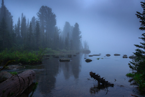 expressions-of-nature: Atmospheric Mood by Vladimir Lyapin