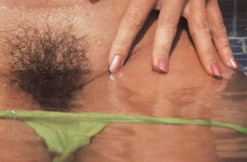 Hairy Pussy Land porn pictures