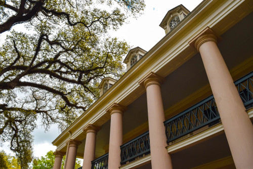 Oak Alley Plantation. Vacherie, Louisiana. March 2016.・For optimal photo quality, view the gallery a