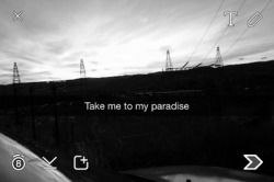 DARK PARADISE 🌙:.