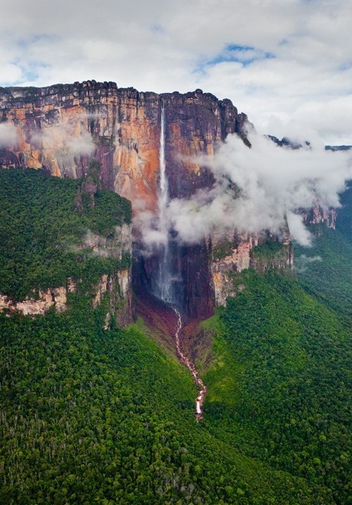 Cascading through clouds (Angel Falls on Auyantepui Mountain in Venezuela is the