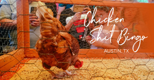 magicalhomesandstuff: Chicken Shit Bingo is a thang in Texas, and is definitely bucket list worthy. 