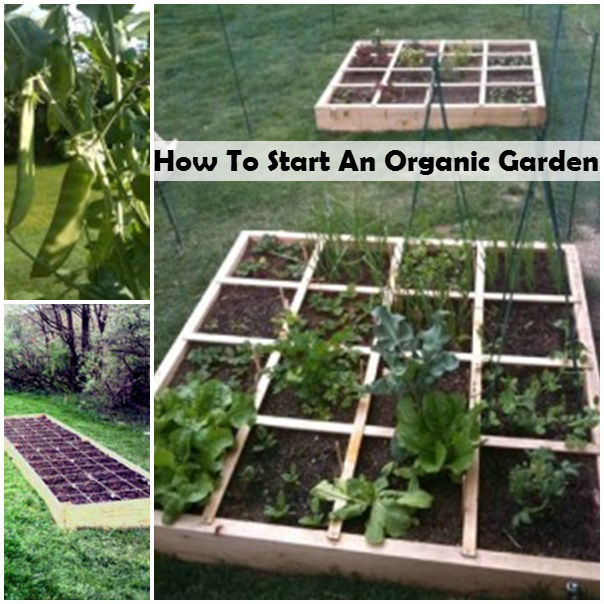 diyideaz:  How To Start An Organic Garden  Follow Us on Tumblr OR Like Us on Facebook