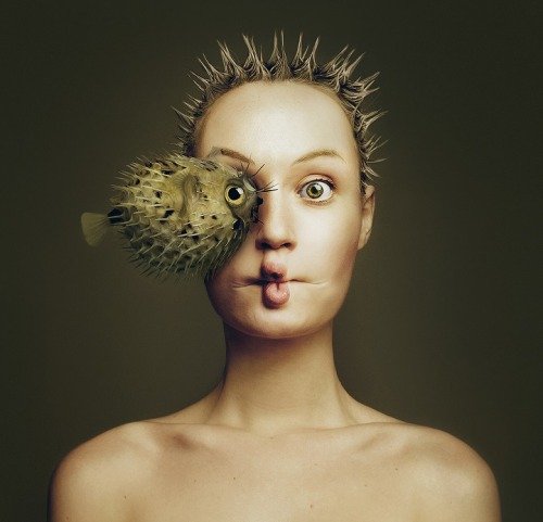 mymodernmet:Stunning Self Portraits of a Woman Sharing an Eye with Various Animals