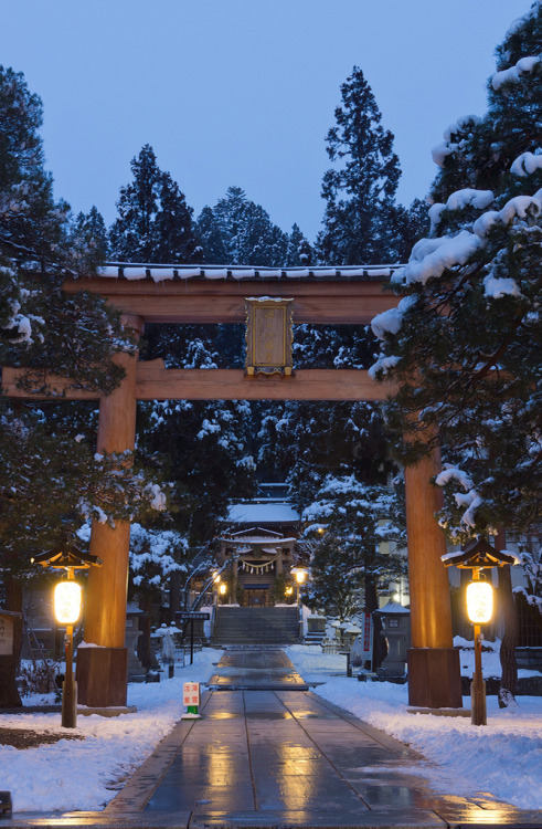 son-0f-zeus:Lights to pray by Yoshi Shimamura