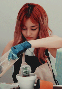 Kimonobeat Tumblr Com Tumbex
