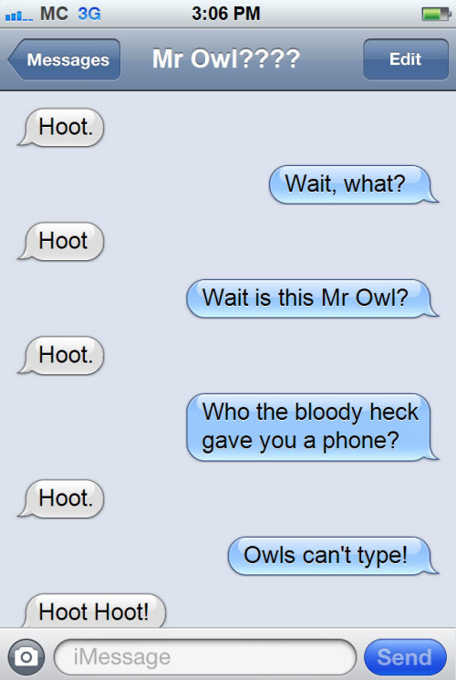 mr owl