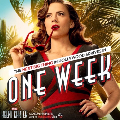 missdontcare-x:@AgentCarterTV: Feel free to freak out.