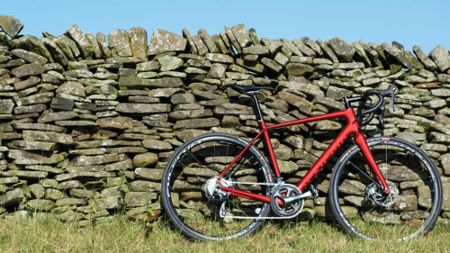 thecyclinglife: Genesis Datum 10