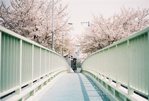 行かないで
