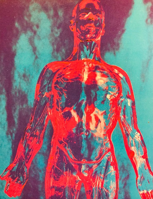 NIRVANA 