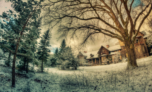 abandoned-playgrounds:Abandoned Houses in Europe. W-w-whoa. Photographs by Patrycja Makowska Just ca