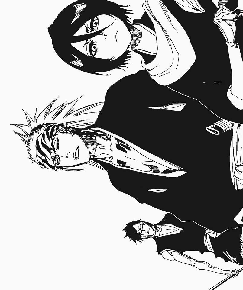 acciofeuerblitzz:  Bleach 585 - Reunion 