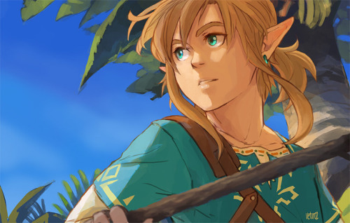 vetur02:Aaaand even more Link :’)