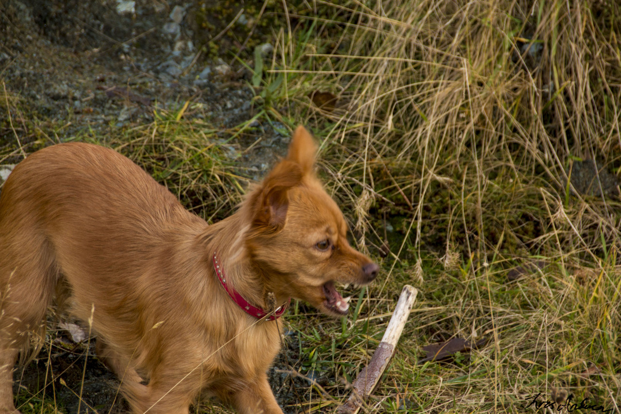 Troya  outside havin some fun