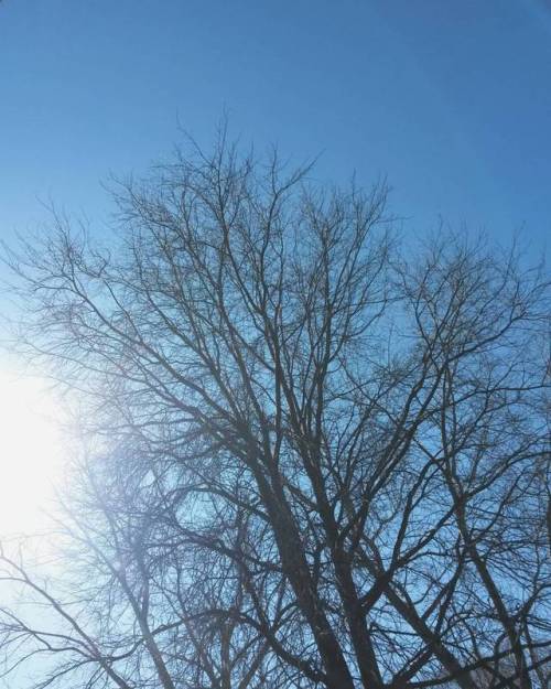 Feeling springy today  #happiness #gooutside