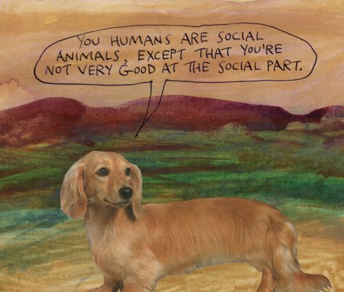 stoicmike:  You humans are social animals, except that you’re not very good at the social part. – Michael Lipsey