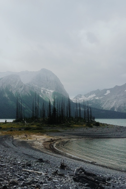 moody-nature:  Untitled | By Julian Bialowas