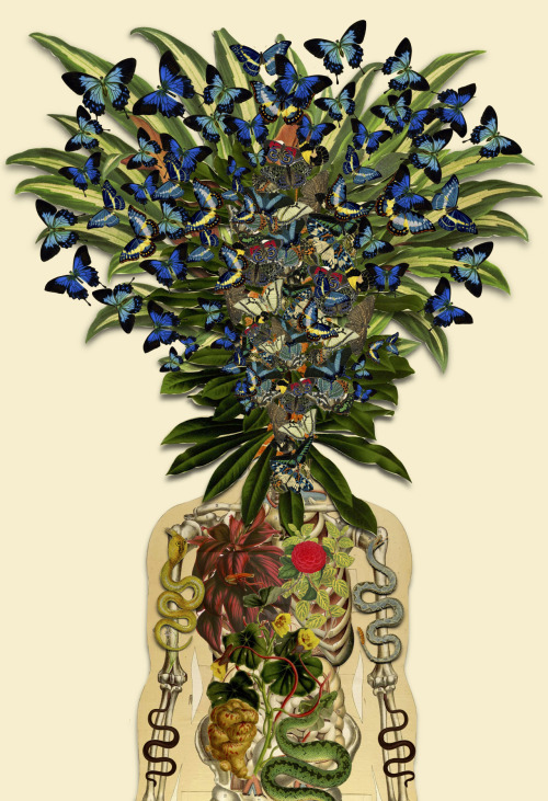 putthatazztowork:  sosuperawesome:  bedelgeuse on Tumblr  Art prints, t-shirts and other products available from bedelgeuse on Society6• So Super Awesome is also on Facebook, Twitter and Pinterest •  I want all of these in my room.