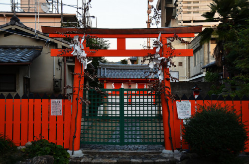 Small Nara Orange Torii by pokoroto on Flickr.