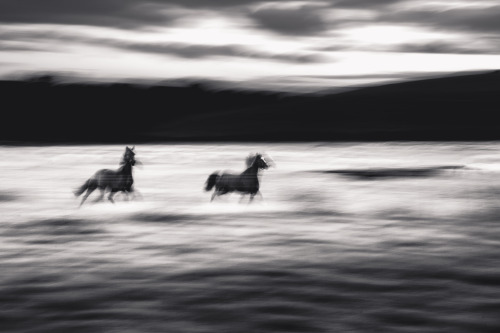 freddie-photography: Glorious GloucestershireThis series of photographs is part of a larger body of 