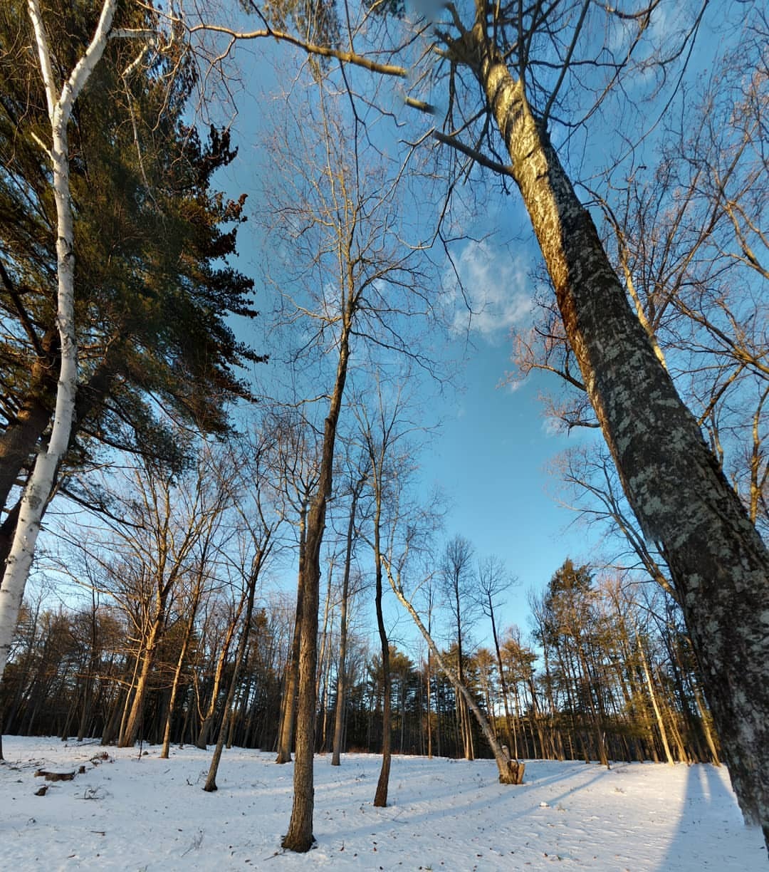 neil-gaiman:  It’s beautiful. But it’s cold.