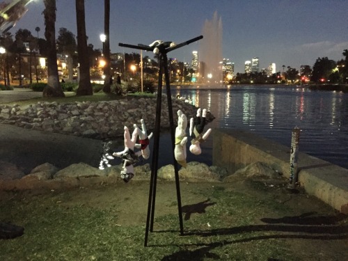 Site-specific Project