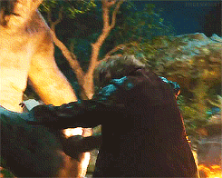queeentauriel:  You! What were you doing? You nearly got yourself killed. Did I not