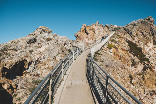 pkatkins:Point Reyes National Seashore