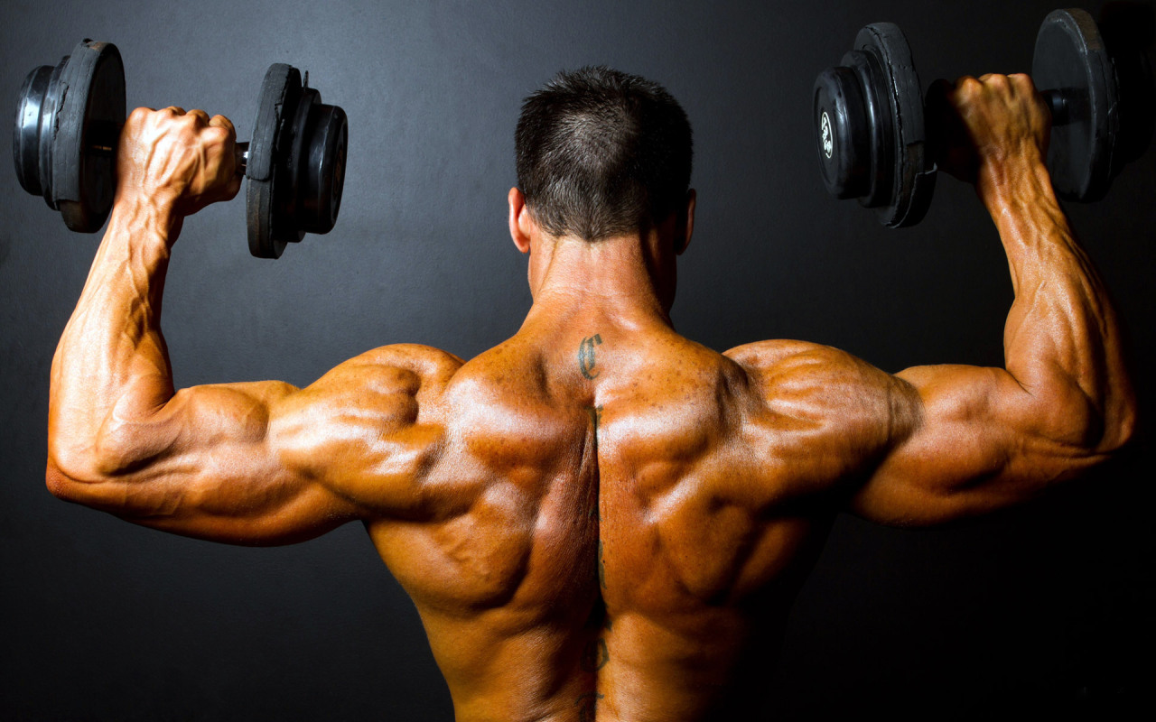 The back isn&rsquo;t only one of the body&rsquo;s biggest and strongest bodyparts,