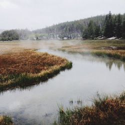 evocativesynthesis:  Yellowstone National