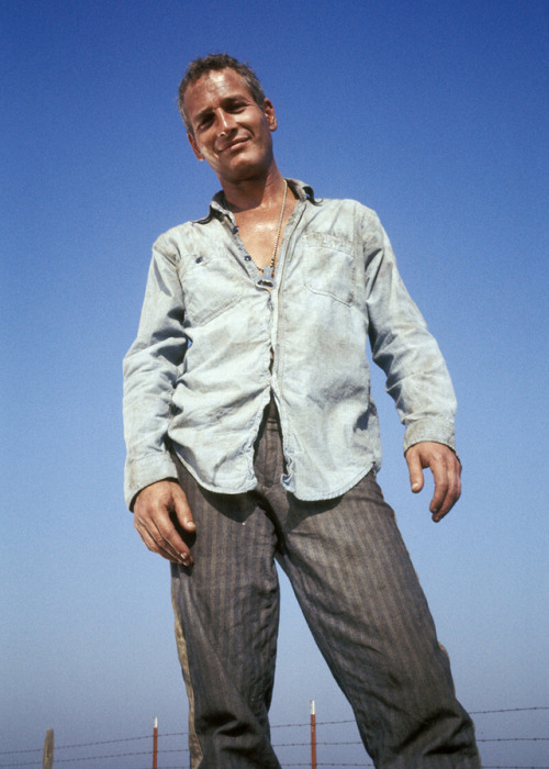 Mr. Paul Newman during the filming of the 1967 film “Cool Hand Luke”.