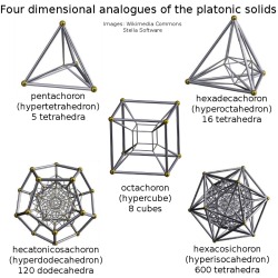 fathom-the-universe:  4D analogues of the platonic solidsIn 3