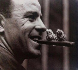 Baby Birds On An Officer’s Cigar, 1918.