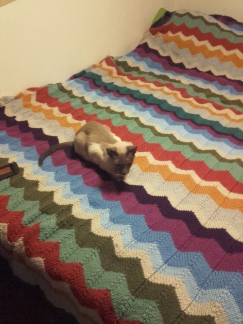 inocentwiskers: Spent Two Months knitting this blanket!!! Seams my cats aprove!