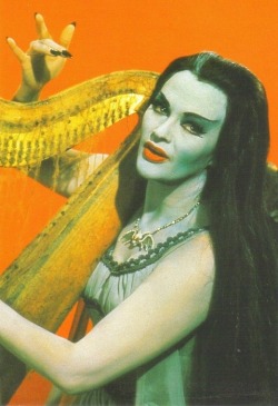 travestismoyterror:  Lily Munster 