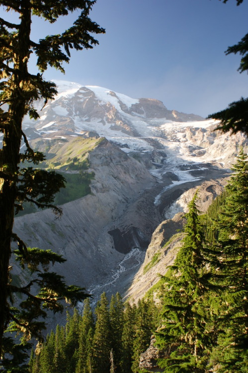 frommylimitedtravels:Nisqually Glacier terminus on Mt. Rainier.