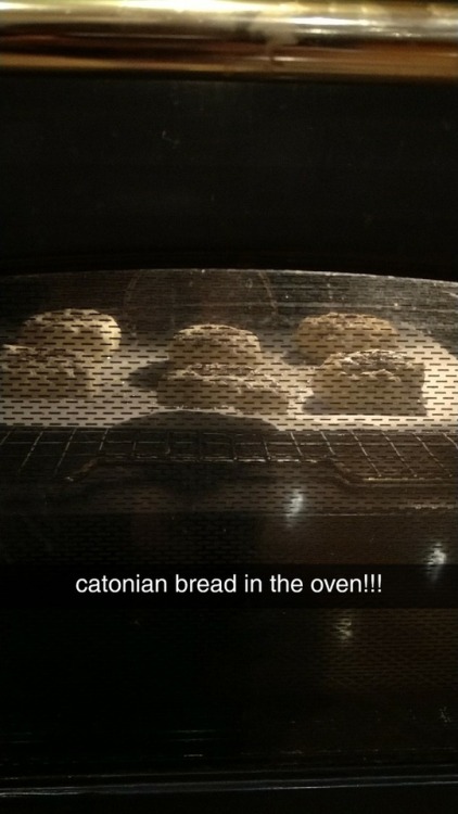 gayusoctgayvius:mateyyys I made cato’s cheese bread for dinner today Optime!